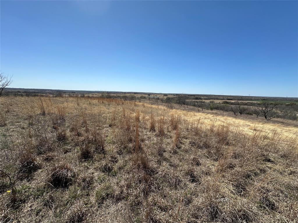 Lot 60 Comanche Lake Road Comanche, TX 76442 - Photo 5 of 6