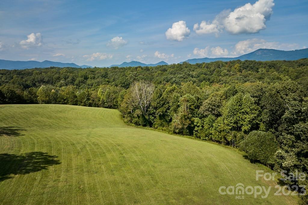 574 Golden Road Columbus, NC 28722 - Photo 14 of 48 a view of a big yard with lots of green space