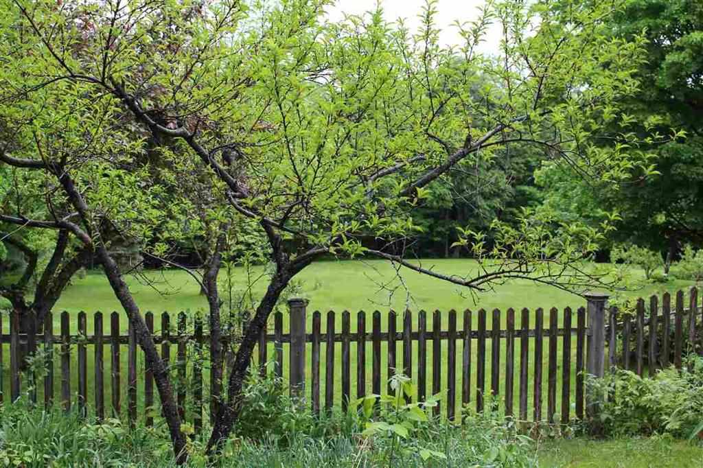 29 S Road Deerfield, NH 03037 - Photo 25 of 27