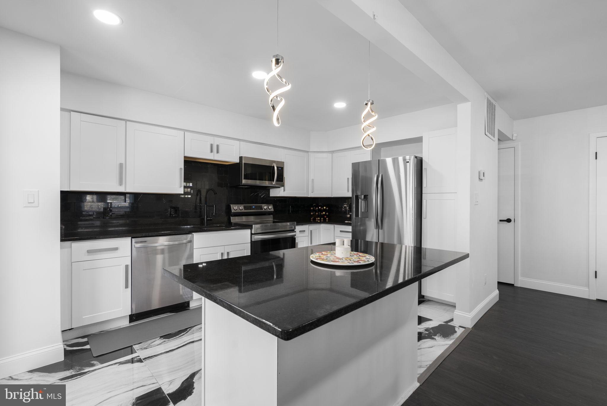 11317 Hawks Ridge Terrace, Unit 91 Germantown, MD 20876 - Photo 14 of 41 Sleek modern kitchen with elegant finishes.