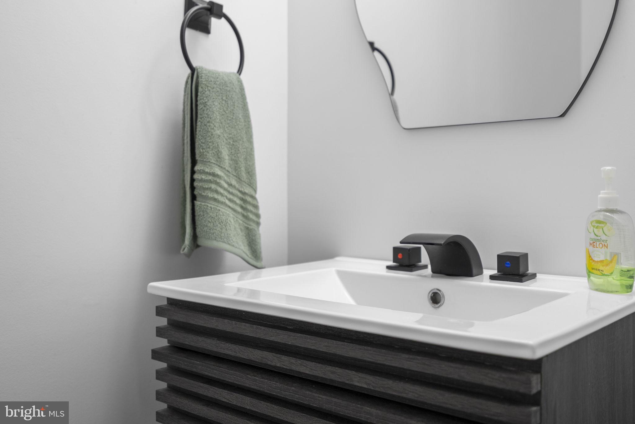 11317 Hawks Ridge Terrace, Unit 91 Germantown, MD 20876 - Photo 22 of 41 Sleek modern bathroom elegance.