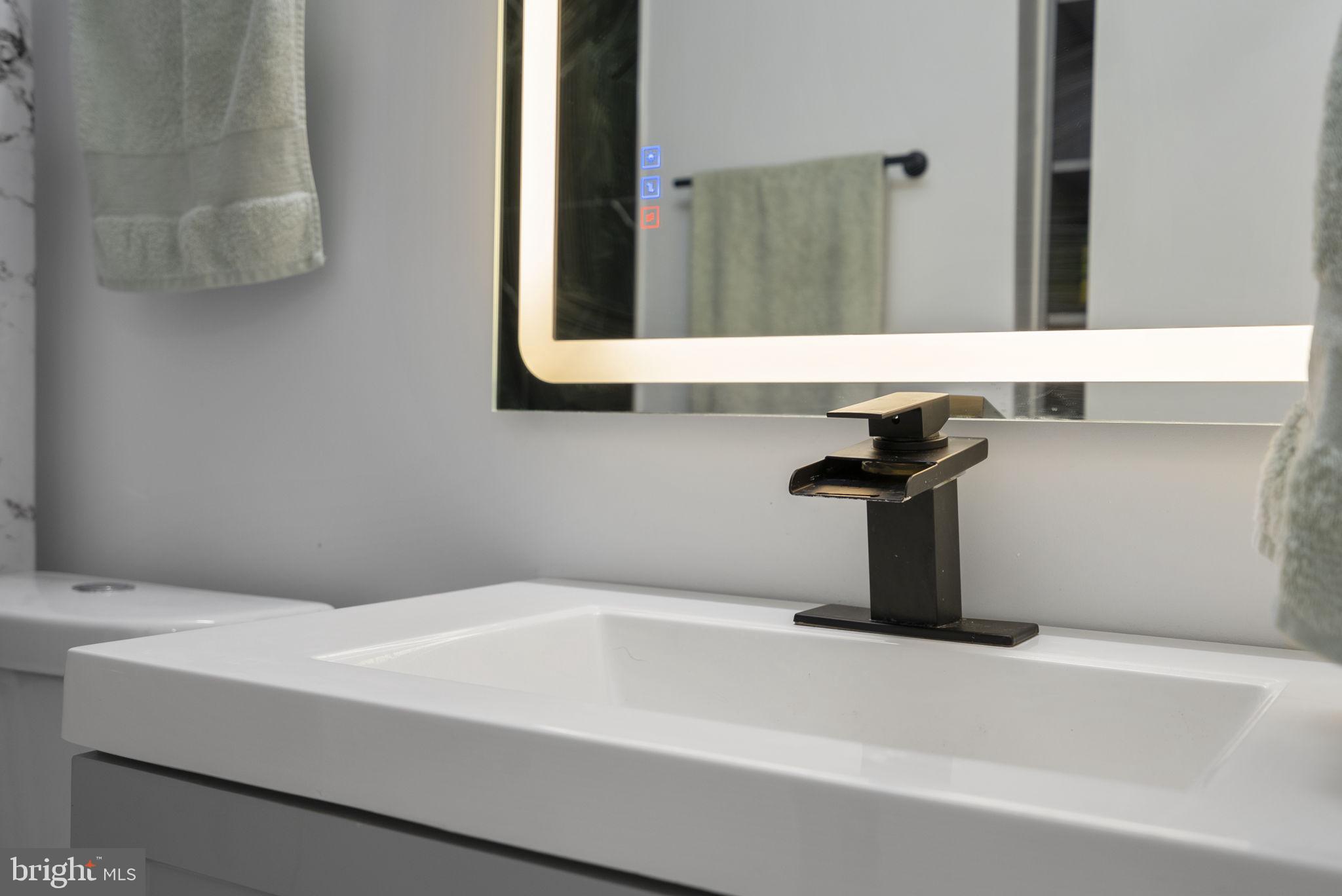 11317 Hawks Ridge Terrace, Unit 91 Germantown, MD 20876 - Photo 36 of 41 Sleek modern bathroom elegance.