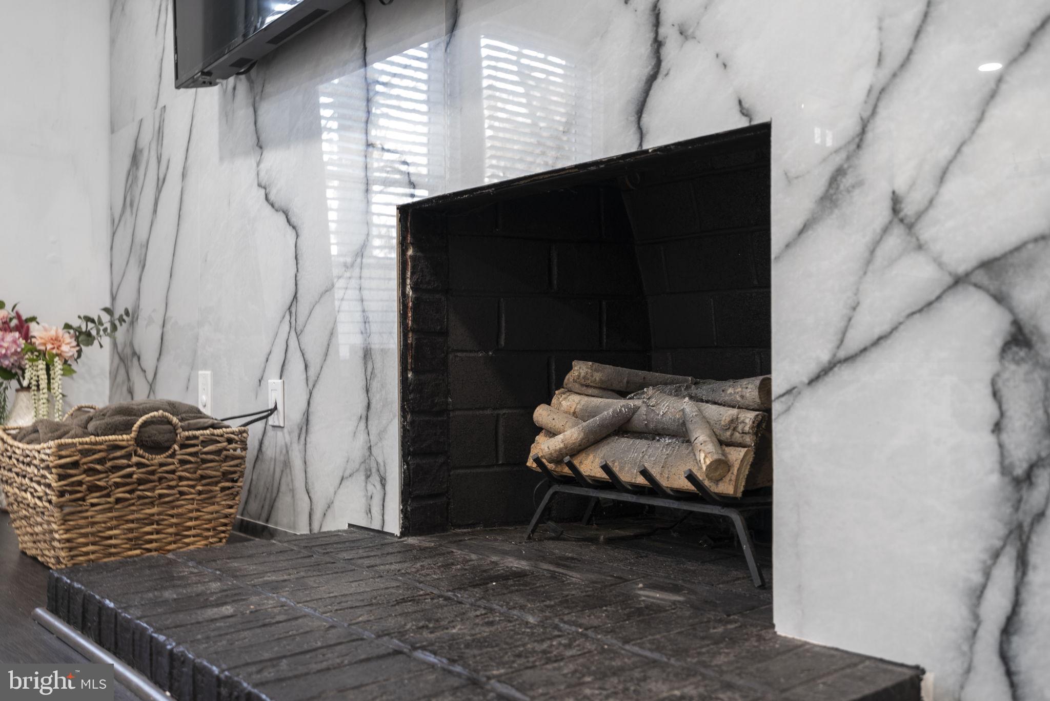 11317 Hawks Ridge Terrace, Unit 91 Germantown, MD 20876 - Photo 8 of 41 Elegant marble fireplace centerpiece.