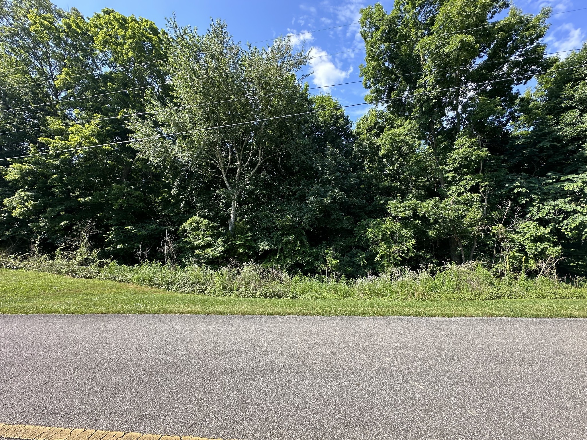 1 Reed Road Indian Mound, TN 37079 - Photo 2 of 8