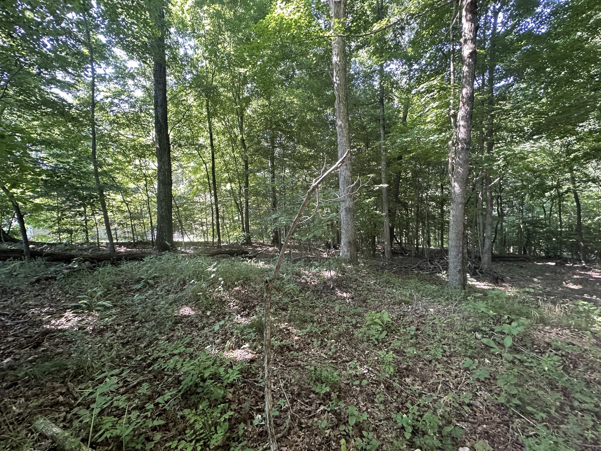 1 Reed Road Indian Mound, TN 37079 - Photo 5 of 8