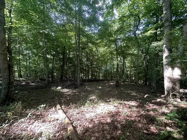 $45,000 | 1 Reed Road, Indian Mound, TN 37079