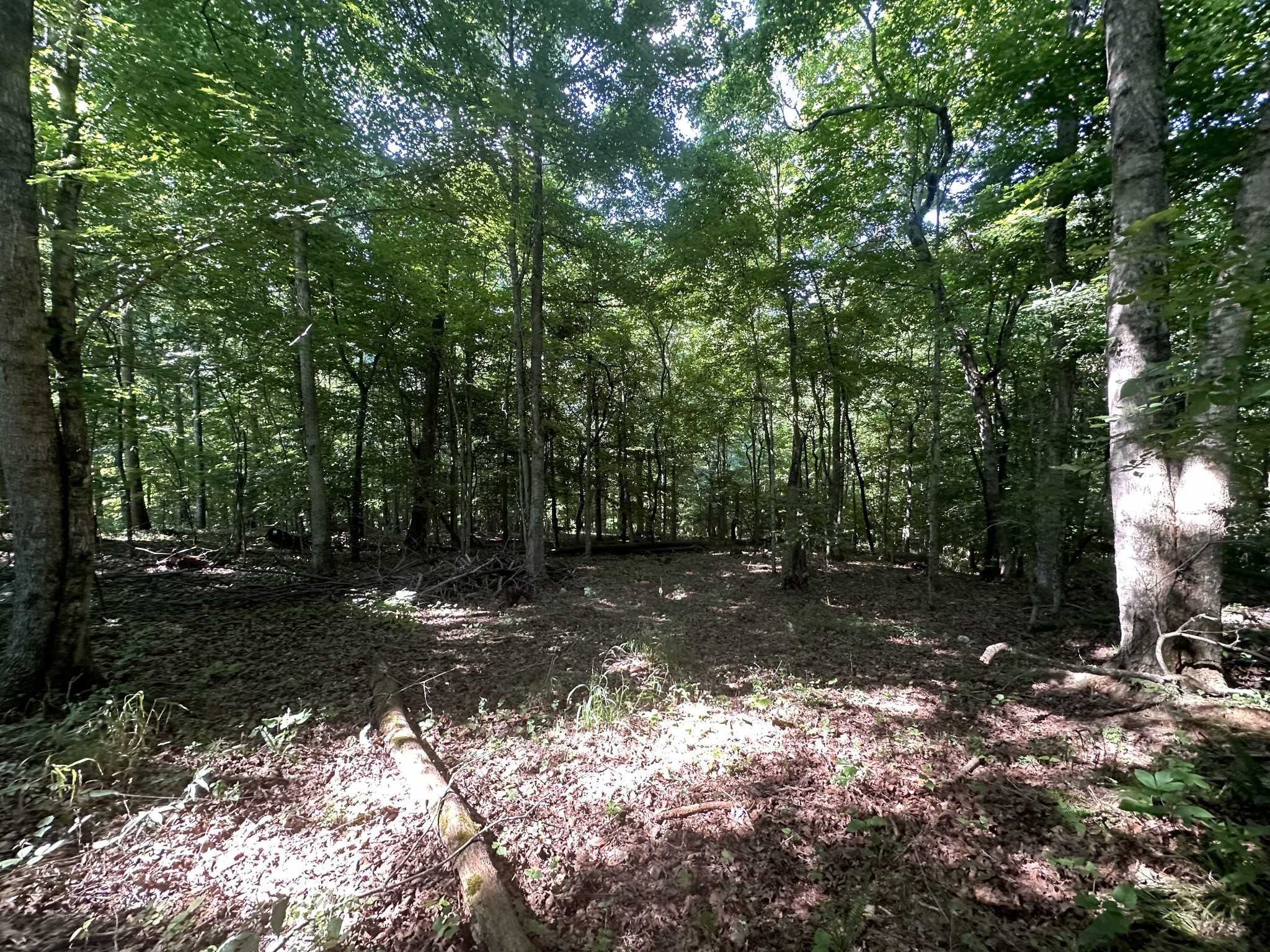 1 Reed Road Indian Mound, TN 37079 - Photo 6 of 8