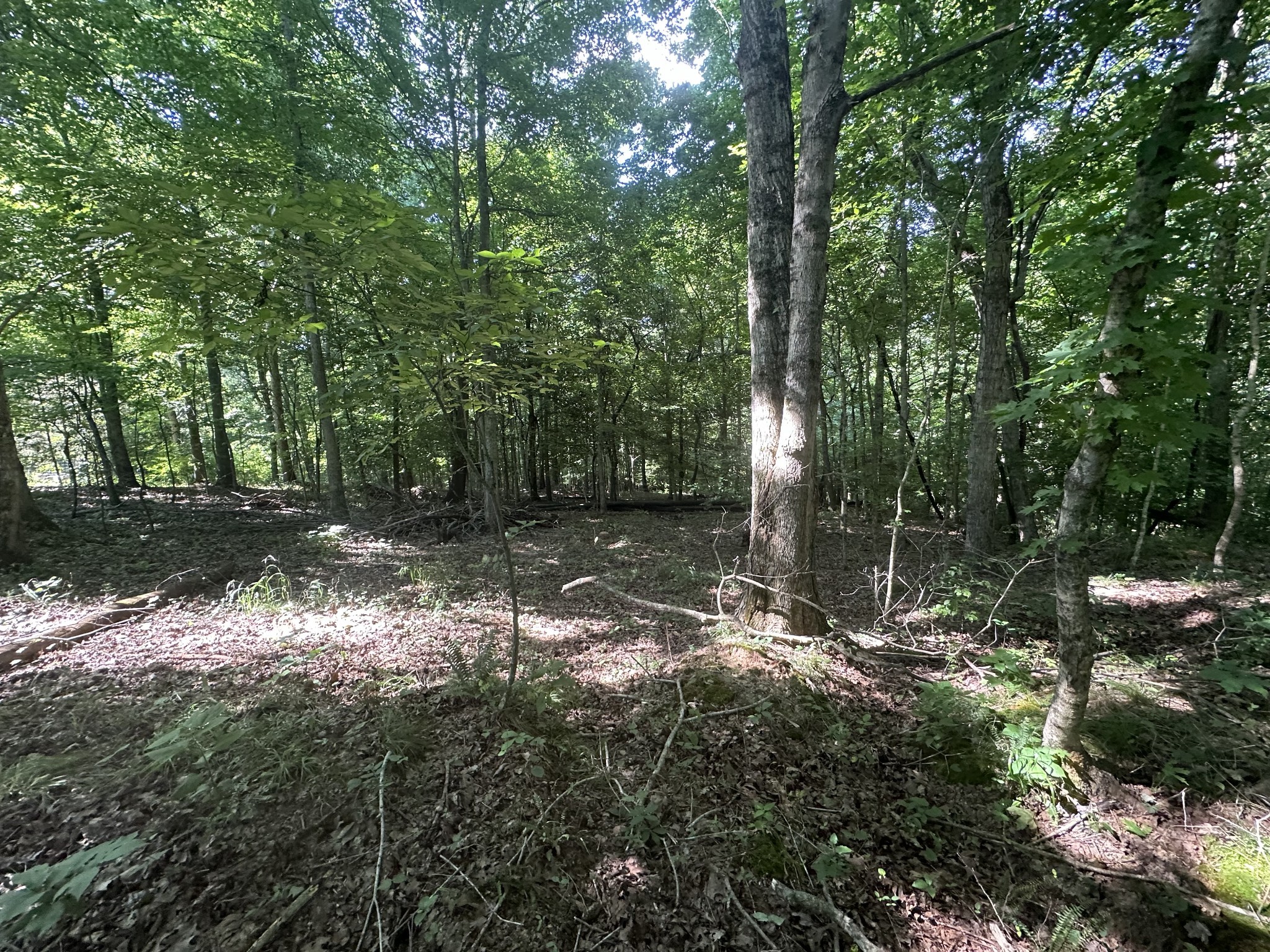 1 Reed Road Indian Mound, TN 37079 - Photo 7 of 8
