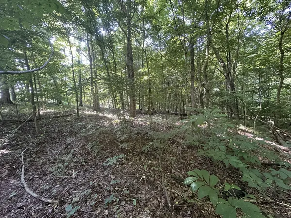 $45,000 | 1 Reed Road, Indian Mound, TN 37079