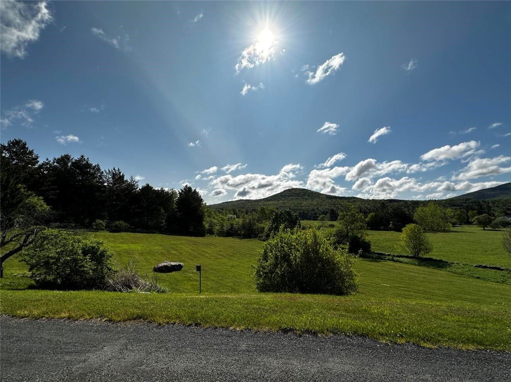 130 Taylor Road Jefferson, NY 12167 - Photo 32 of 38