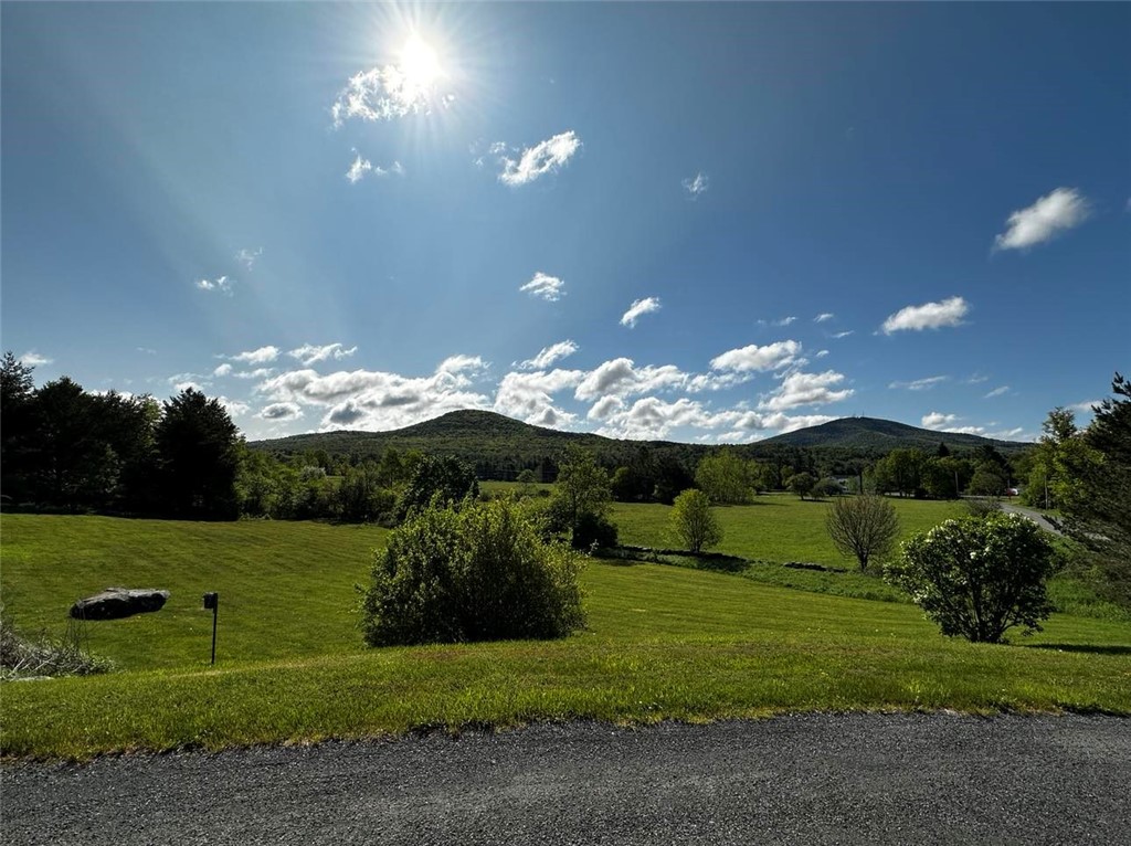 130 Taylor Road Jefferson, NY 12167 - Photo 33 of 38