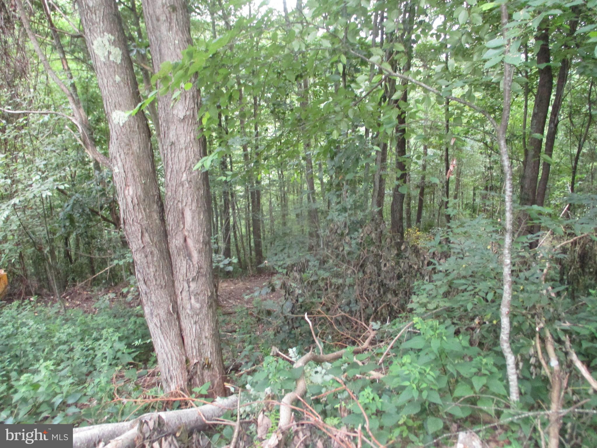 1000 Snake Road Aurora, WV 26705 - Photo 2 of 3
