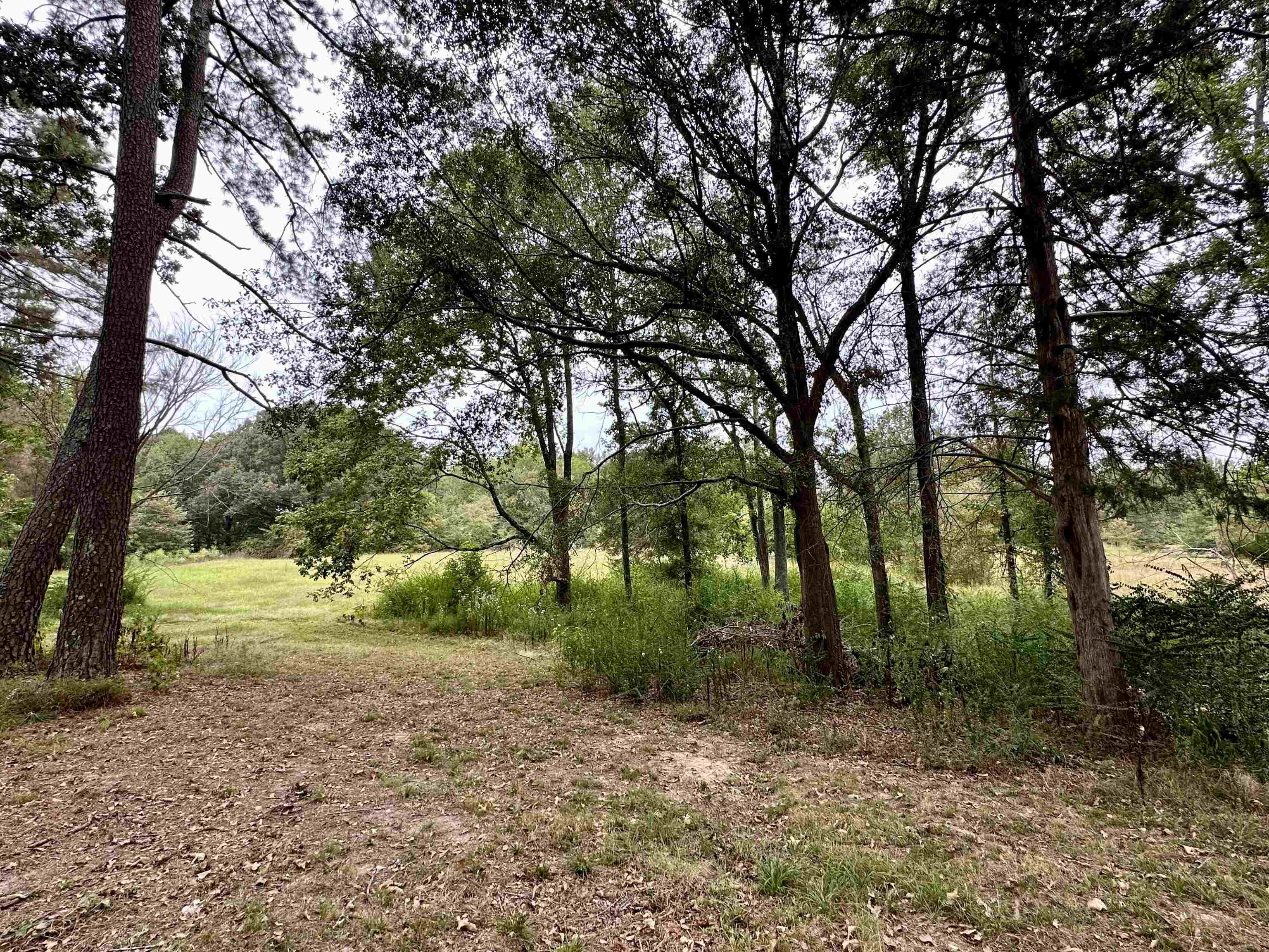 530 Poole Road Moscow, TN 38057 - Photo 18 of 20 Looking to back of property from rear of home