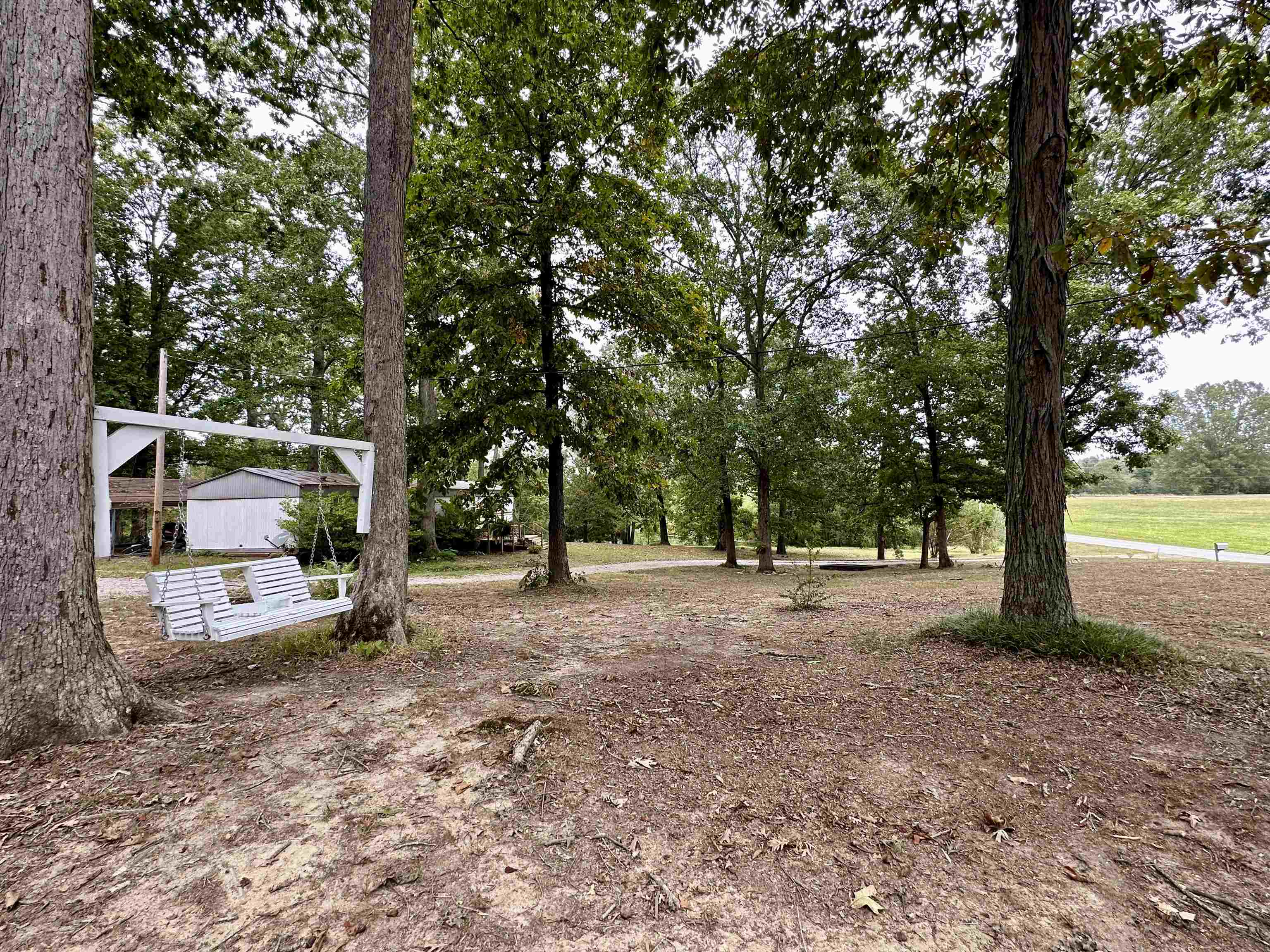 530 Poole Road Moscow, TN 38057 - Photo 5 of 20 Gallery Image 5