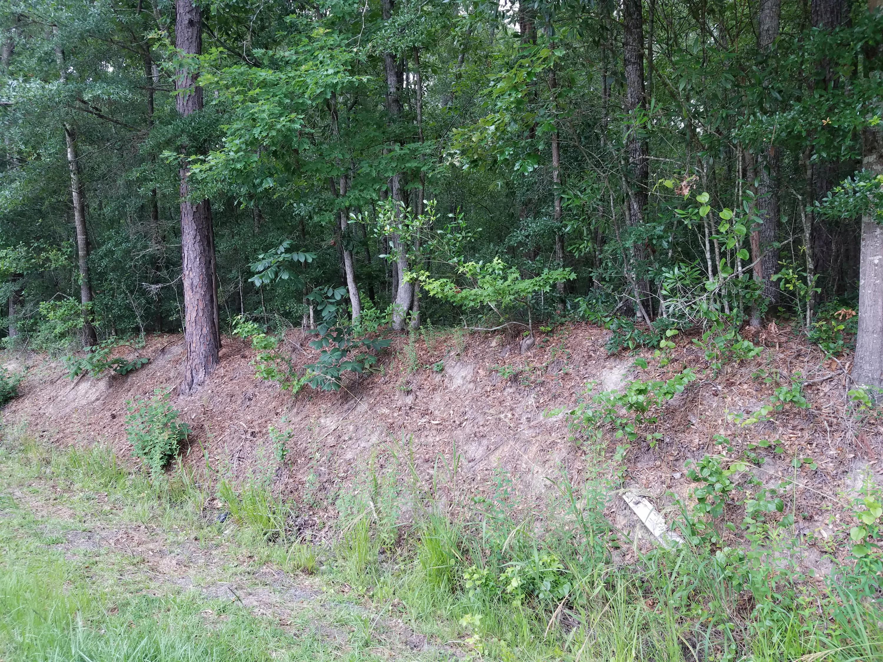 3810 Burlington Road Walterboro, SC 29488 - Photo 3 of 7 20200607_165320