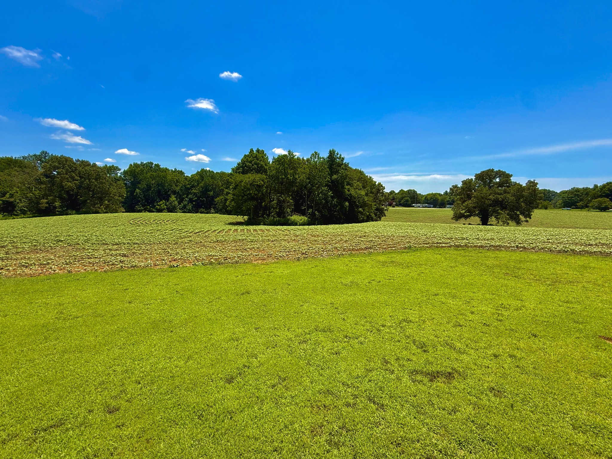 8 Lambs Ferry Road Leoma, TN 38468 - Photo 51 of 53