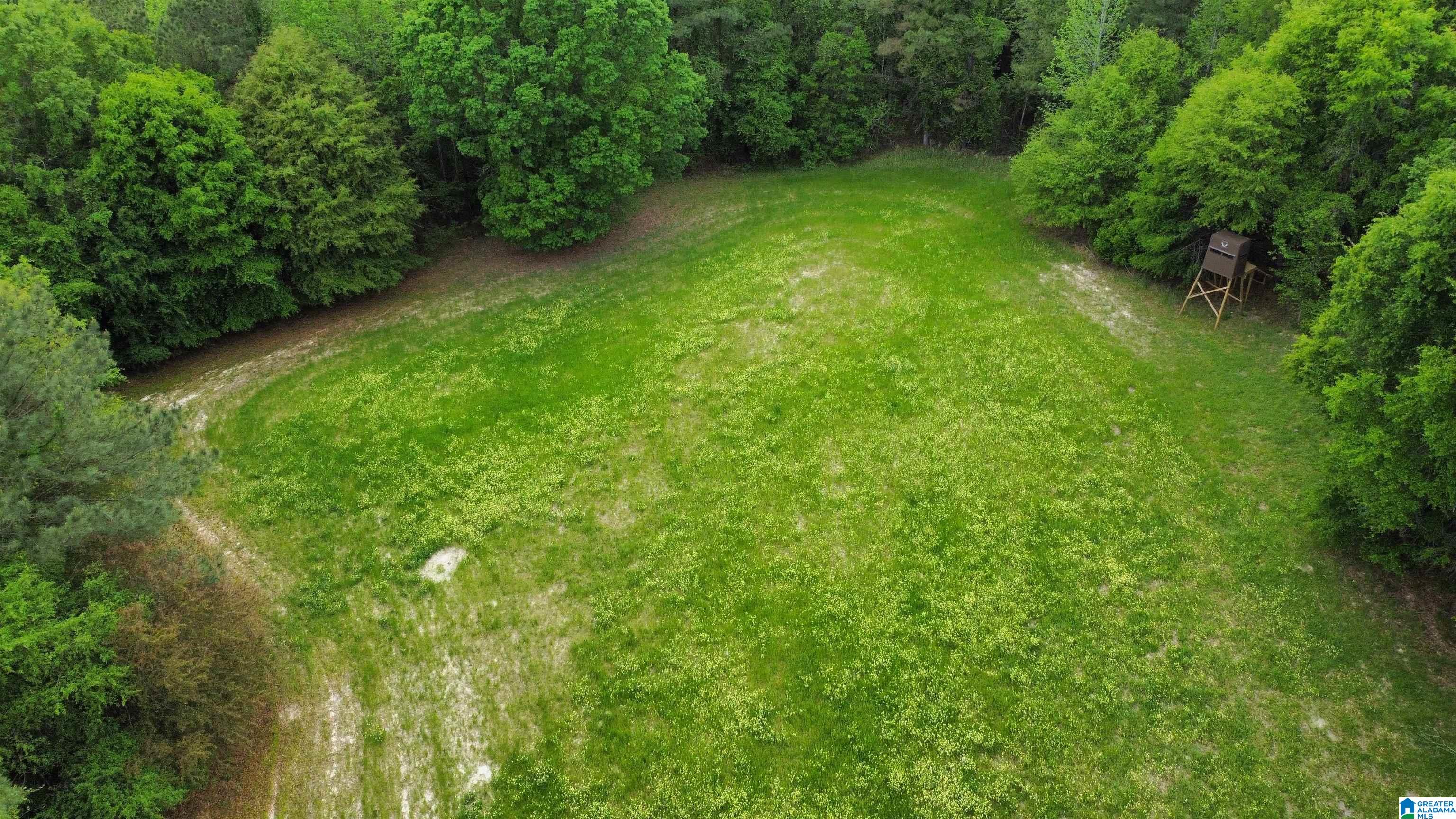 0 County Road 44 Linden, AL 36748 - Photo 18 of 48