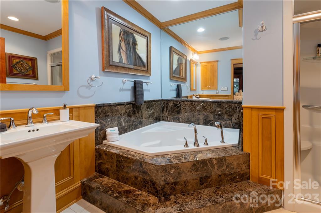 649 Morgan Hill Road Fairview, NC 28730 - Photo 28 of 48 a spacious bathroom with a tub sink and mirror