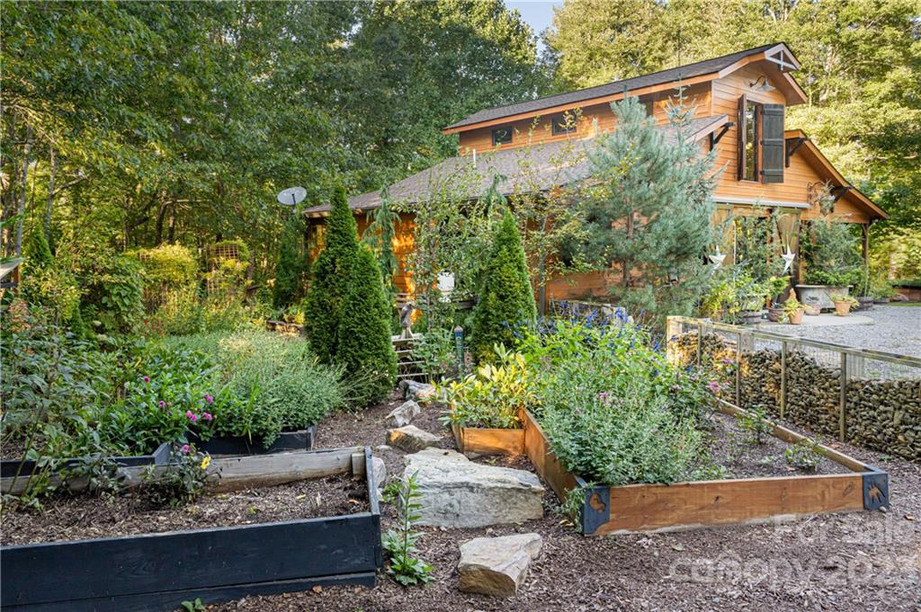 649 Morgan Hill Road Fairview, NC 28730 - Photo 38 of 48 a view of a yard with potted plants