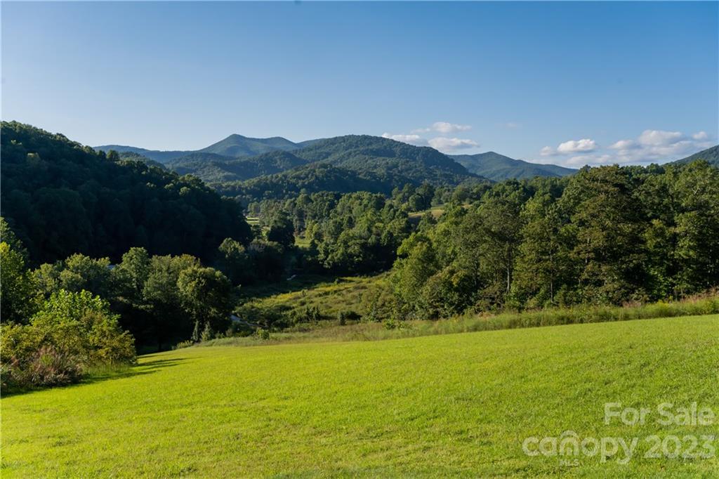 649 Morgan Hill Road Fairview, NC 28730 - Photo 41 of 48 a view of a lush green field with a mountain in the background