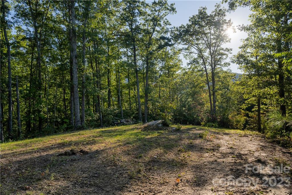 649 Morgan Hill Road Fairview, NC 28730 - Photo 42 of 48 a view of outdoor space with trees all around