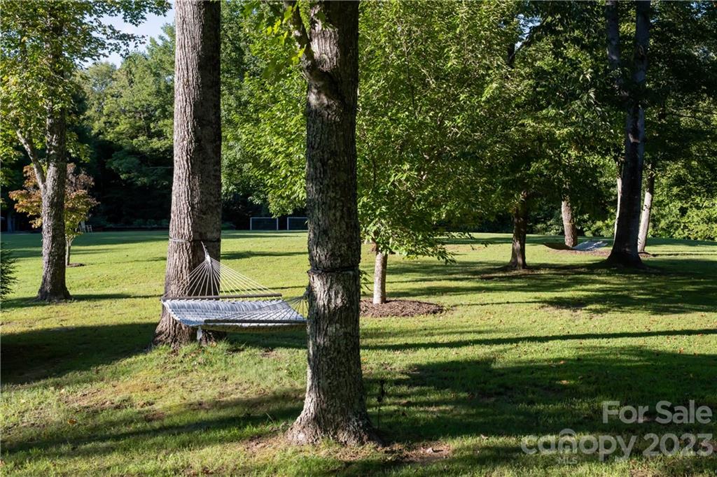 649 Morgan Hill Road Fairview, NC 28730 - Photo 44 of 48 a view of a park with large trees