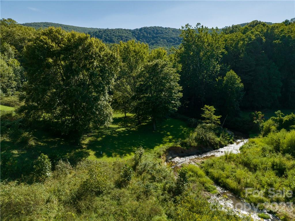 649 Morgan Hill Road Fairview, NC 28730 - Photo 45 of 48 a view of a garden