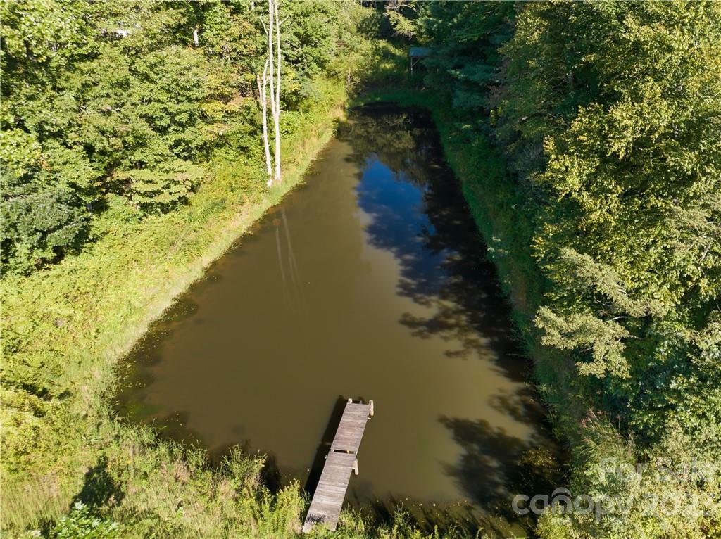 649 Morgan Hill Road Fairview, NC 28730 - Photo 46 of 48