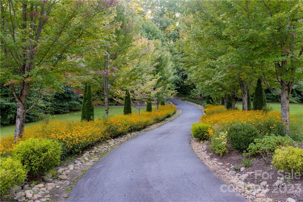 649 Morgan Hill Road Fairview, NC 28730 - Photo 48 of 48 a view of a pathway with a yard
