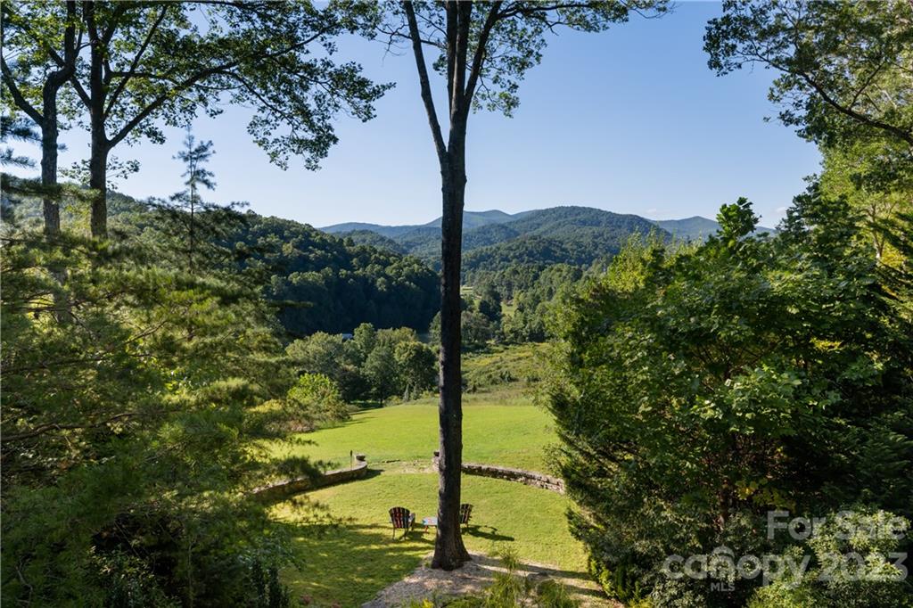 649 Morgan Hill Road Fairview, NC 28730 - Photo 6 of 48 a view of a tree in the middle of a yard