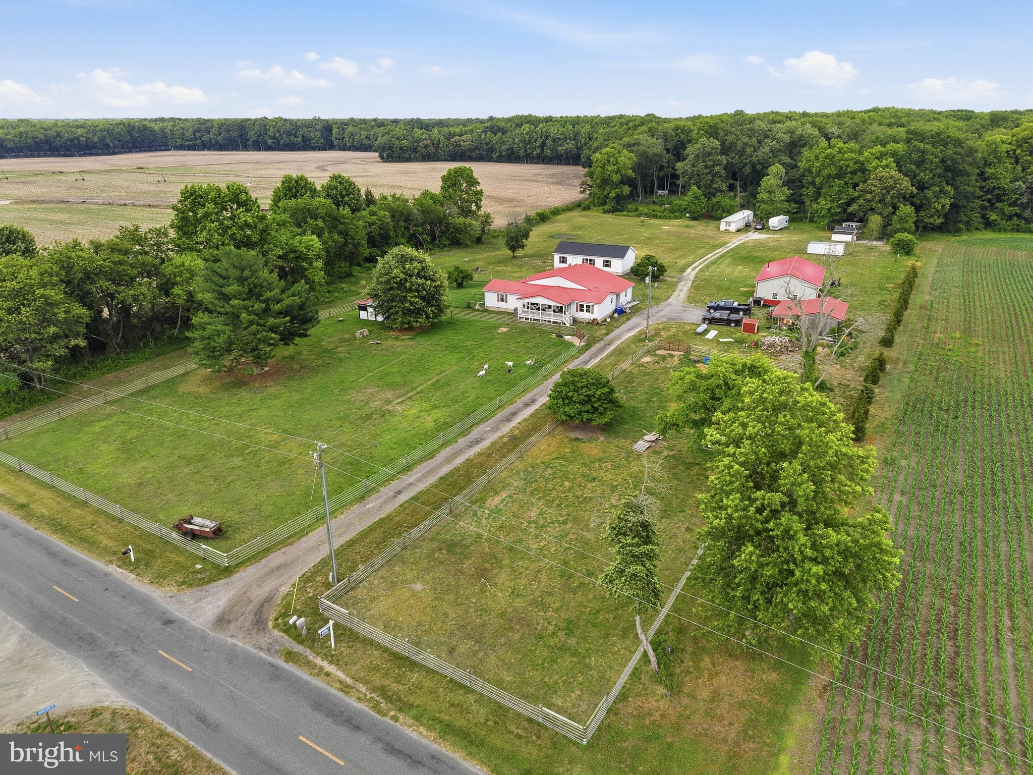 420 Duhamel Corner Road Marydel, MD 21649 - Photo 16 of 90