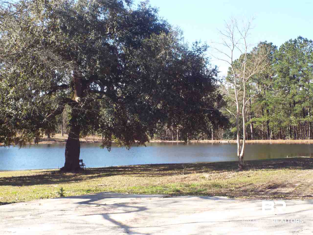 4460 Topton Road McIntosh, AL 36553 - Photo 31 of 45