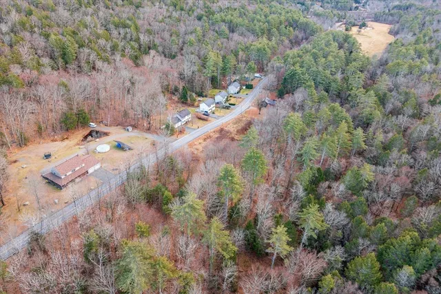 a view of a yard with trees