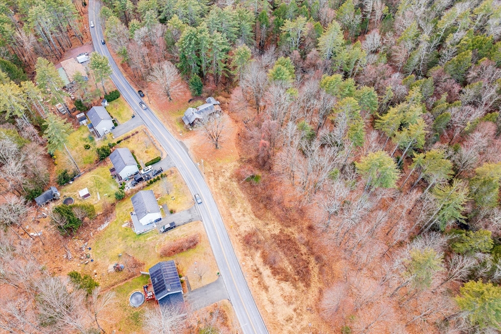 1-4 North Street Erving, MA 01344 - Photo 8 of 10 a picture of tree