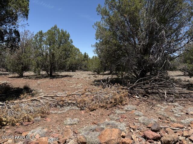 356 D Sierra Verde Ranch Seligman, AZ 86337 - Photo 7 of 9 a view of outdoor space with wooden fence and trees
