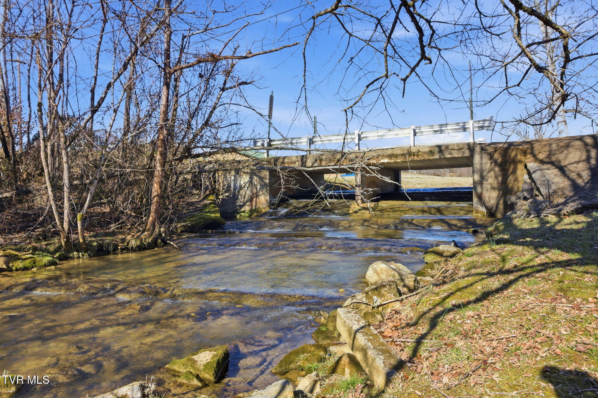 970 C M Jones Road Greeneville, TN 37745 - Photo 6 of 53 2-web-or-mls-DZ3A5345