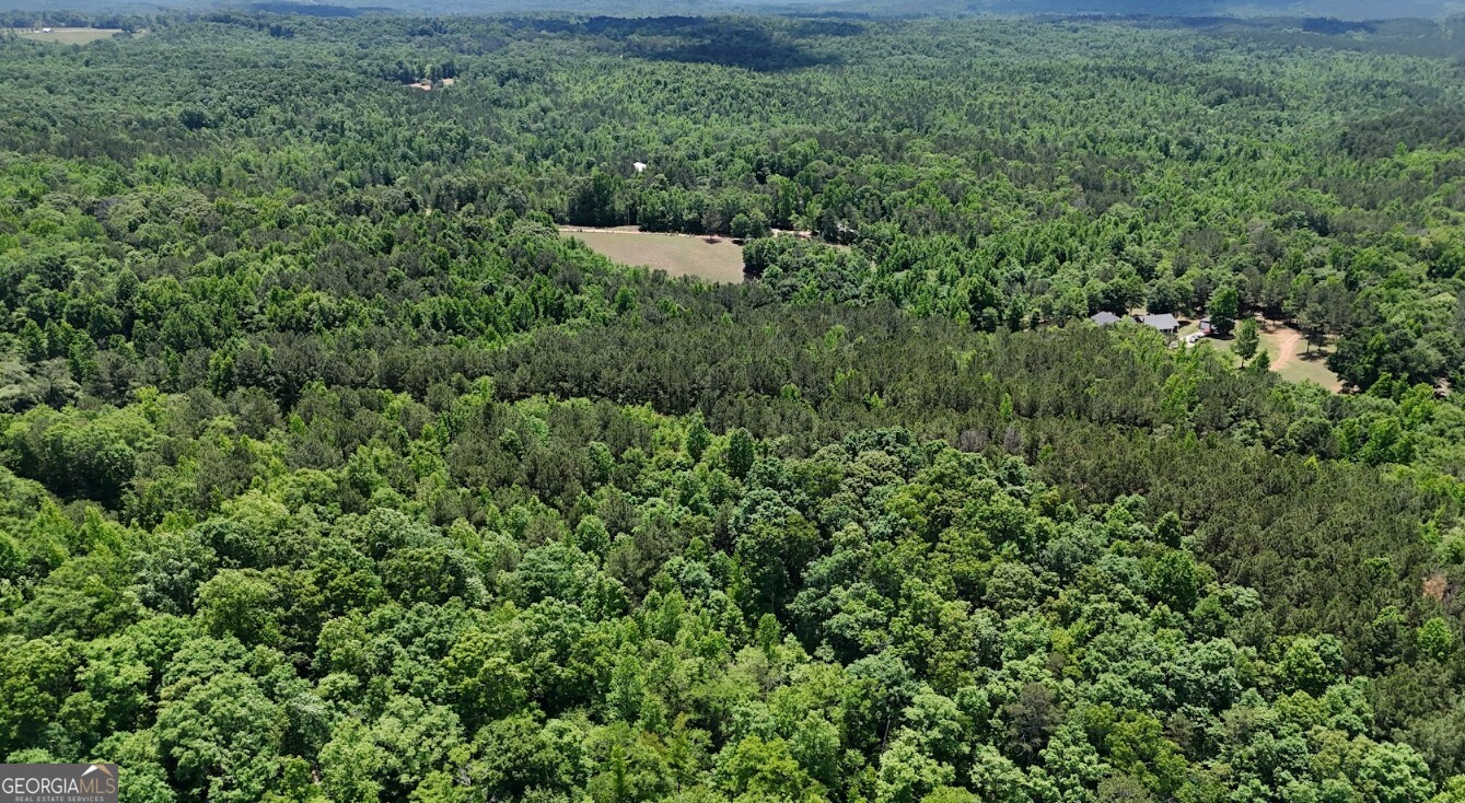 0 Creek Road, Unit LOT 2 Ashland, AL 36251 - Photo 15 of 20