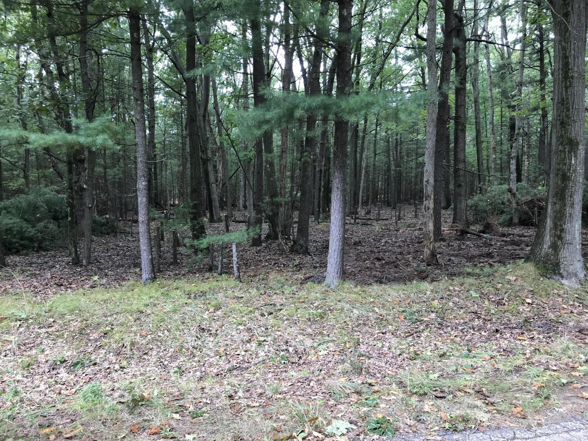 Timber Ridge Drive Manistee, MI 49660 - Photo 1 of 2 IMG_1565