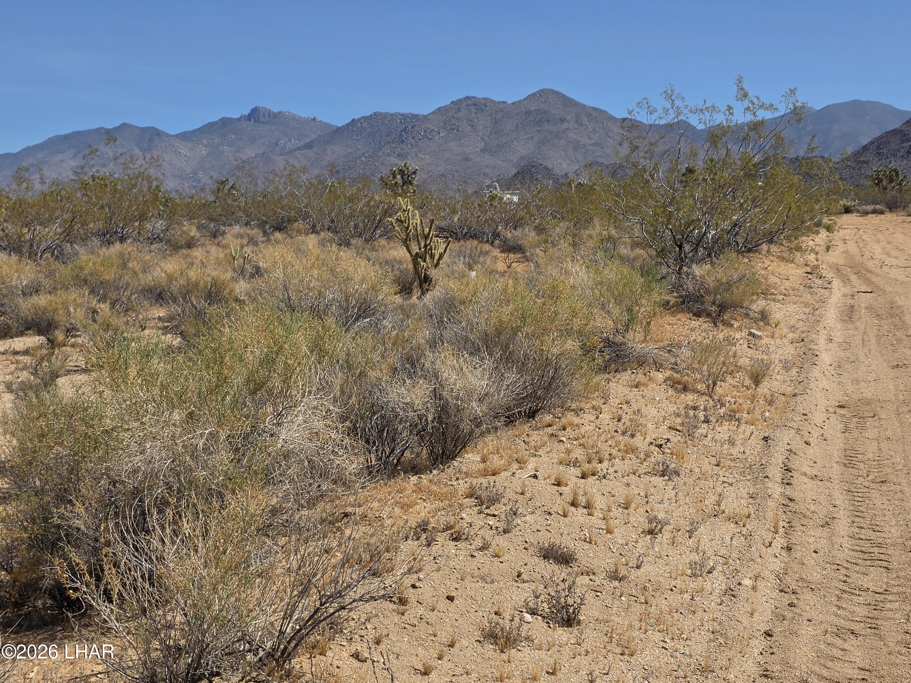 Lot 196 East Bush Road Yucca, AZ 86438 - Photo 4 of 7 20260407_111404