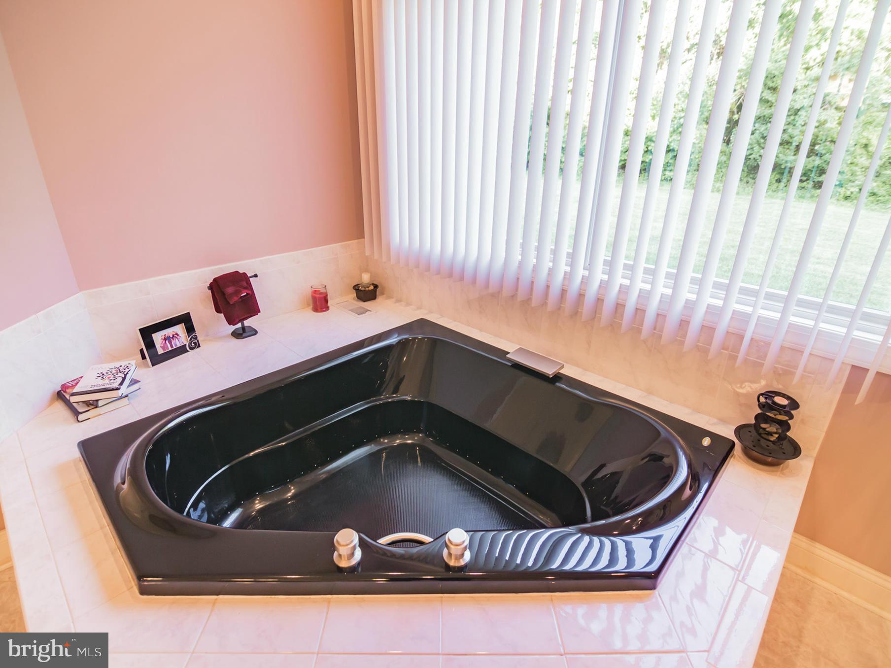 22850 Bayside Road Leonardtown, MD 20650 - Photo 16 of 30 Bath (Master)