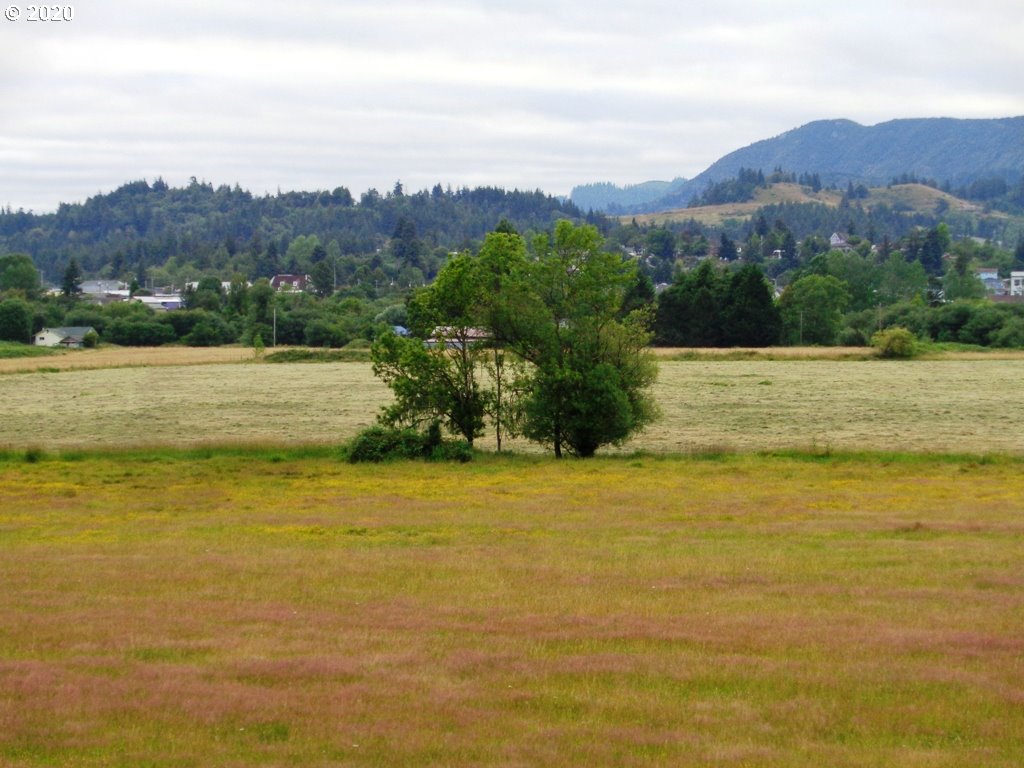 52956 Stringtown Road Myrtle Point, OR 97458 - Photo 21 of 32 Gallery Image 21
