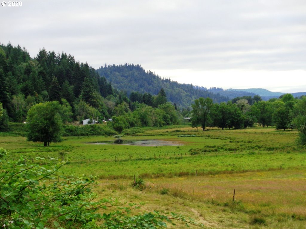 52956 Stringtown Road Myrtle Point, OR 97458 - Photo 23 of 32 Gallery Image 23
