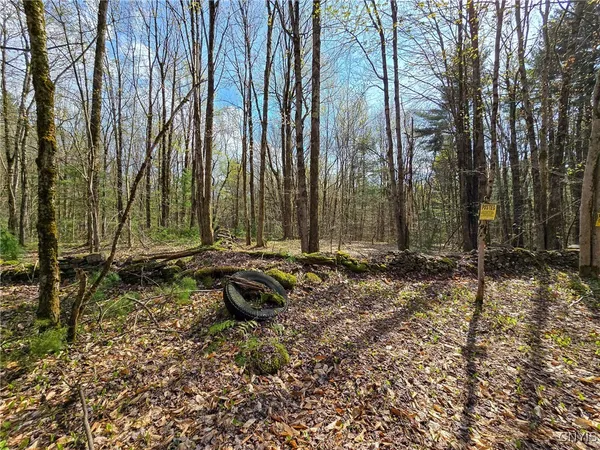 $58,000 | 0 Old State Road, Williamstown, NY 13493