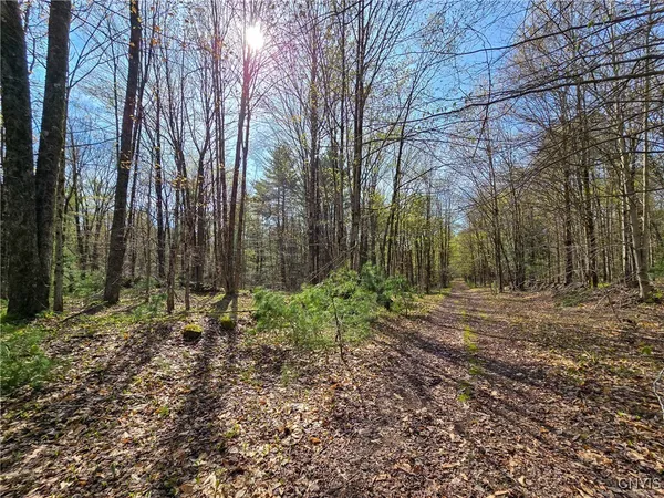 $58,000 | 0 Old State Road, Williamstown, NY 13493