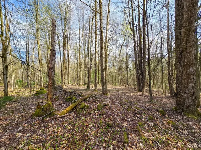 $58,000 | 0 Old State Road, Williamstown, NY 13493