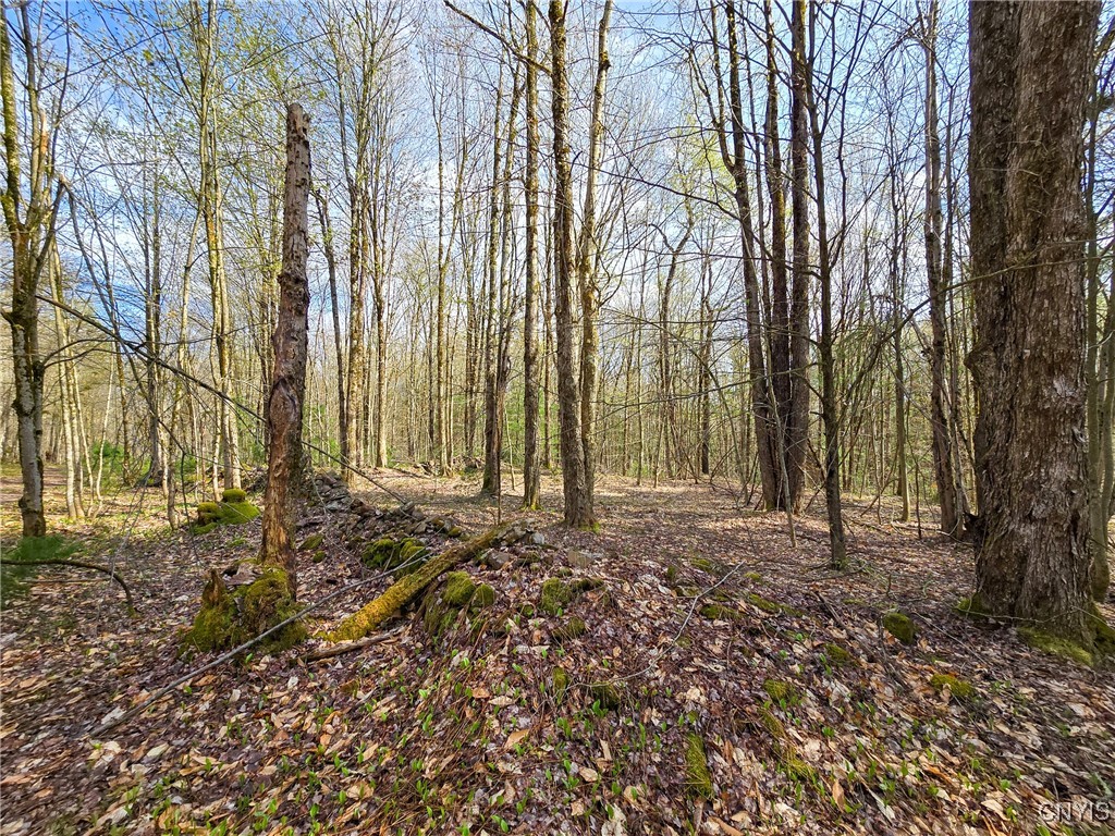 0 Old State Road Williamstown, NY 13493 - Photo 14 of 20