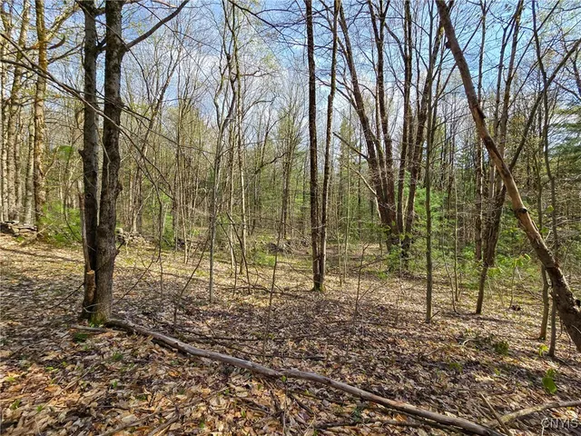 $58,000 | 0 Old State Road, Williamstown, NY 13493