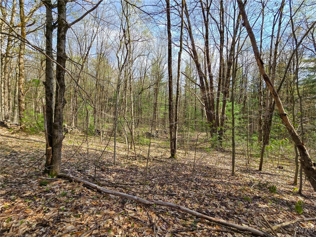 0 Old State Road Williamstown, NY 13493 - Photo 15 of 20