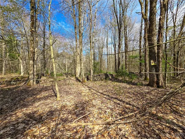 $58,000 | 0 Old State Road, Williamstown, NY 13493