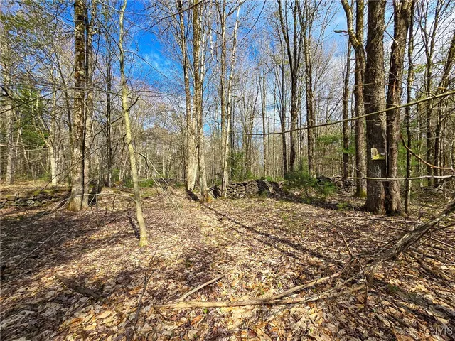 $58,000 | 0 Old State Road, Williamstown, NY 13493